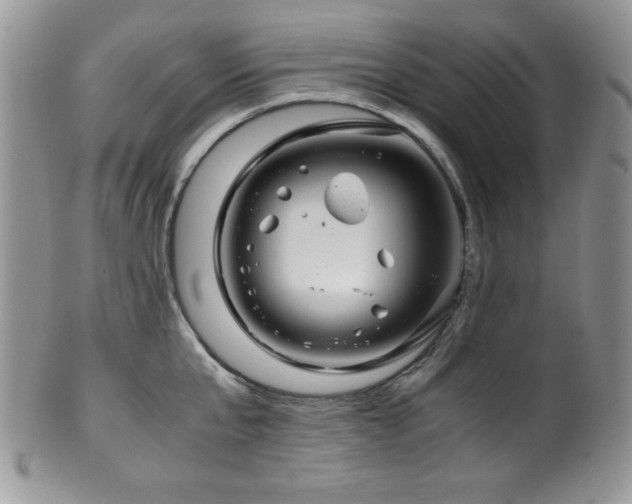 X0000100340807200806051537
