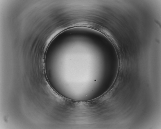 X0000100340808200806051537