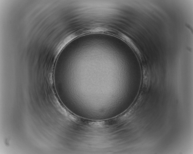 X0000100340810200806051537