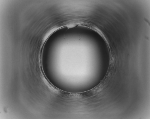 X0000100340811200806051536