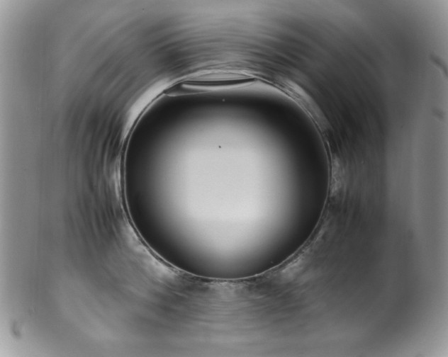 X0000100340812200806051536