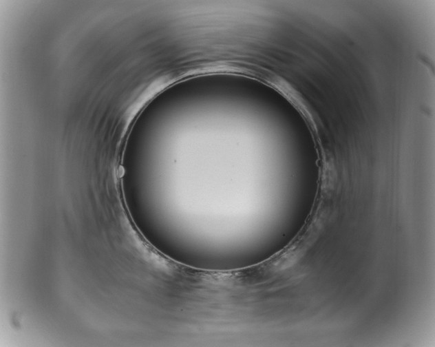 X0000100340813200806051536