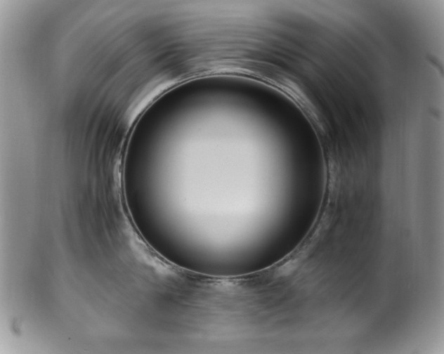 X0000100340814200806051536