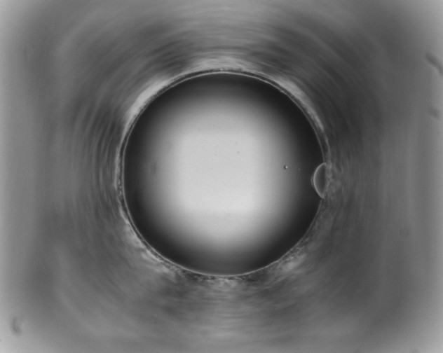 X0000100340815200806051536