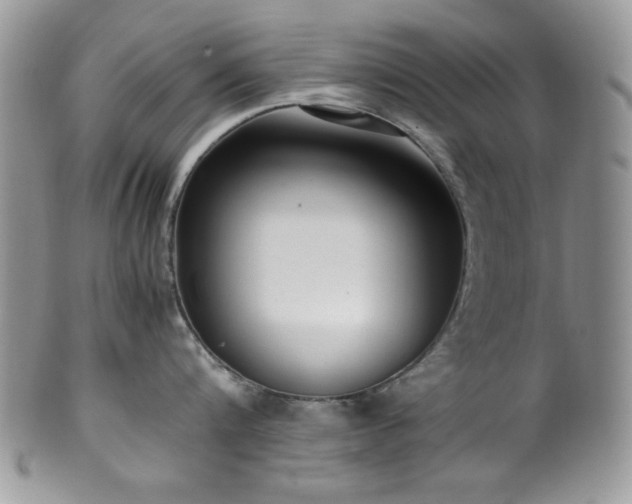 X0000100340816200806051536