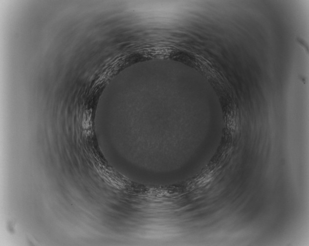 X0000100340818200806051536