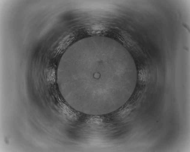 X0000100340820200806051536
