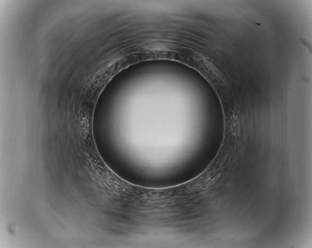 X0000100340821200806051536