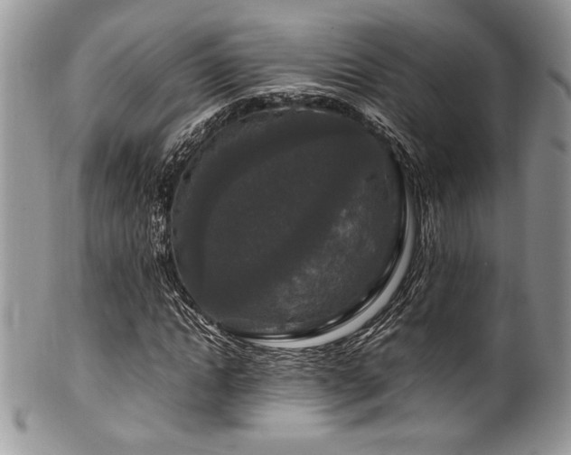 X0000100340822200806051536