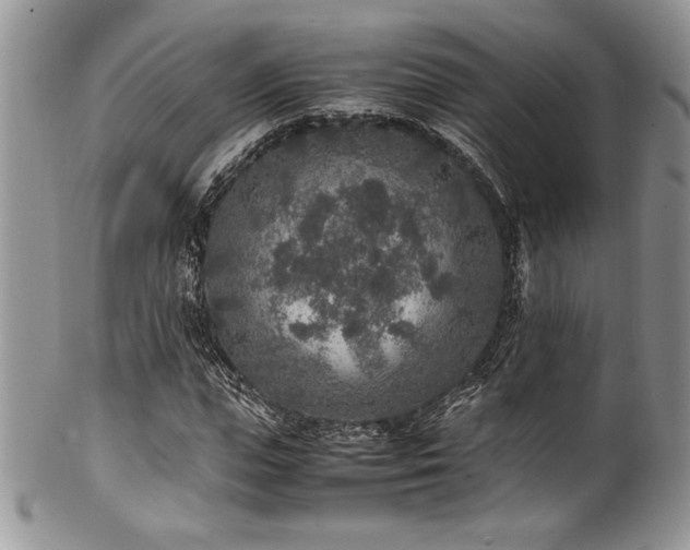 X0000100340823200806051536