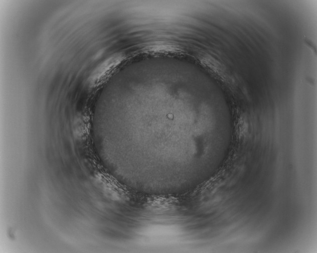 X0000100340824200806051536