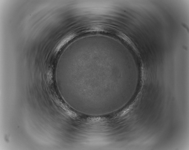 X0000100340826200806051536