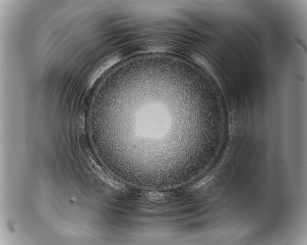 X0000100340827200806051536
