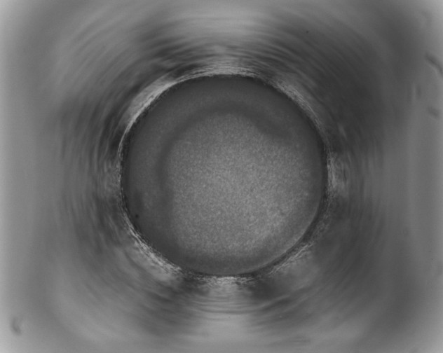 X0000100340828200806051536