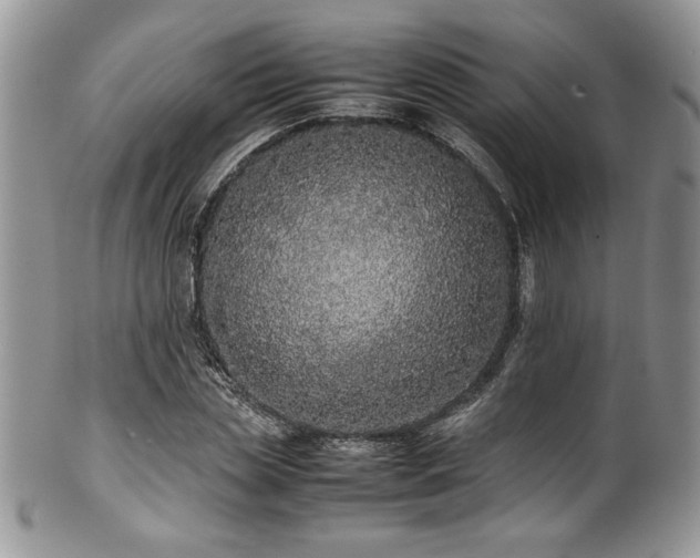 X0000100340829200806051536