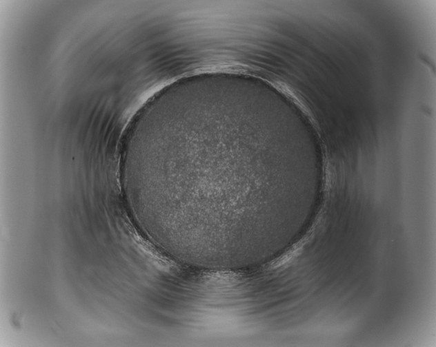 X0000100340830200806051536