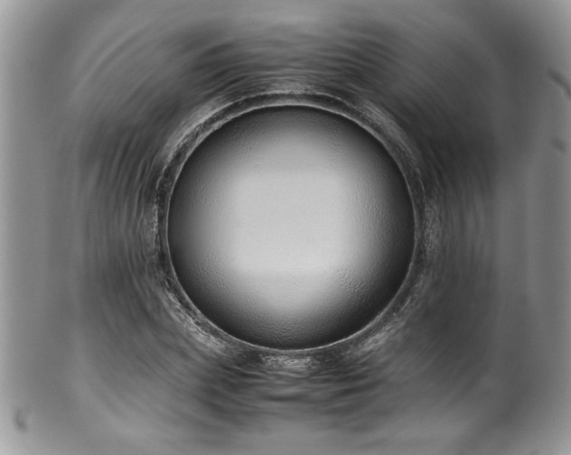 X0000100340831200806051536