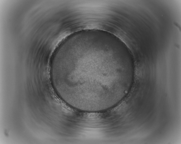 X0000100340832200806051536