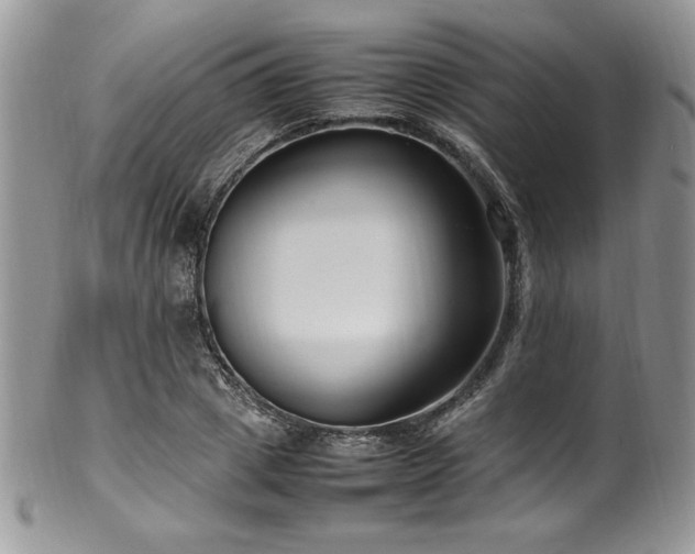 X0000100340833200806051536