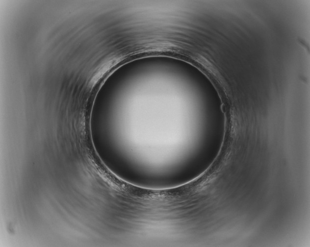 X0000100340834200806051536