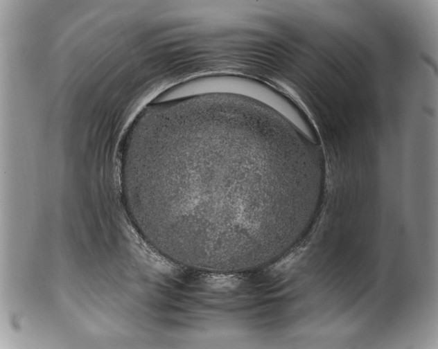X0000100340835200806051536