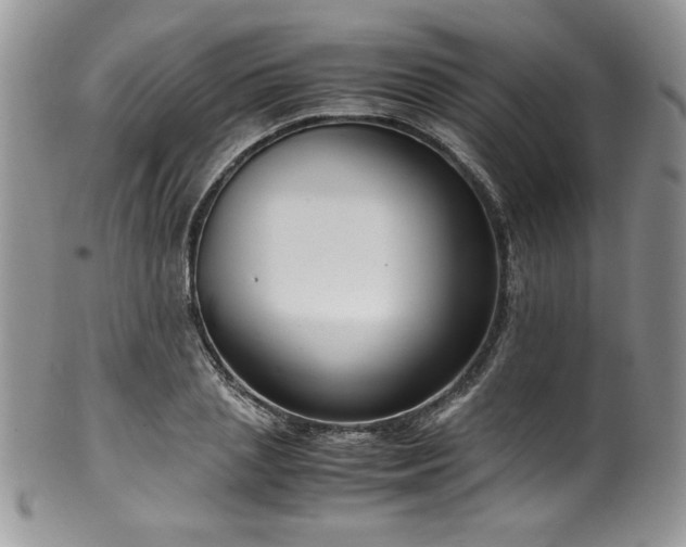 X0000100340837200806051536