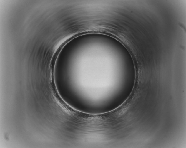 X0000100340838200806051536