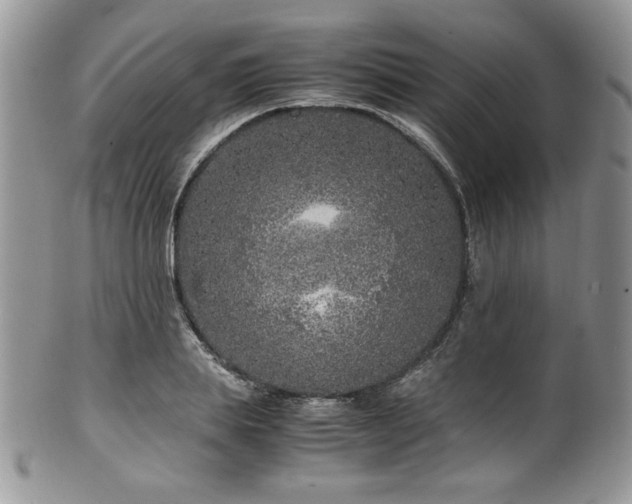 X0000100340839200806051536
