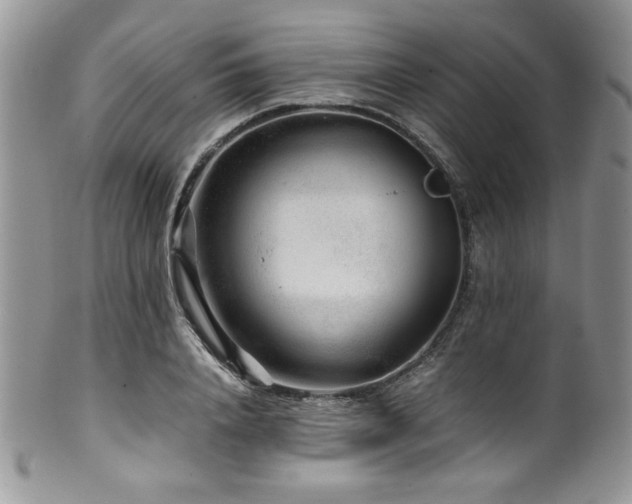 X0000100340840200806051536