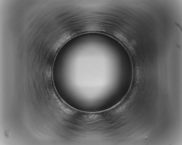 X0000100340841200806051536