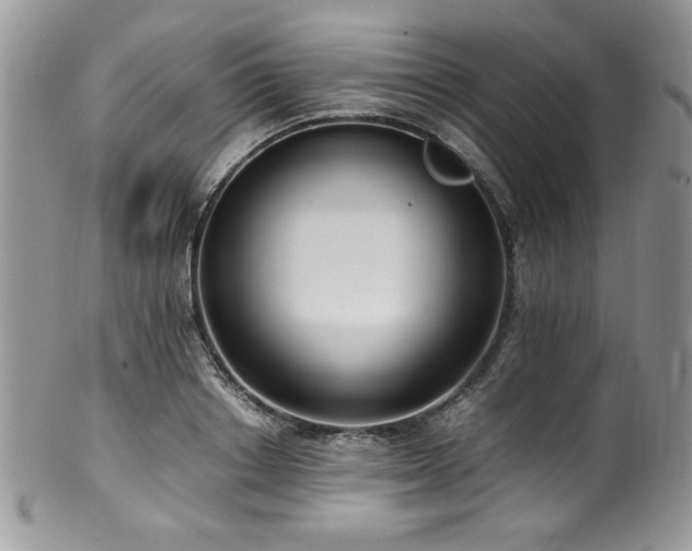 X0000100340842200806051536