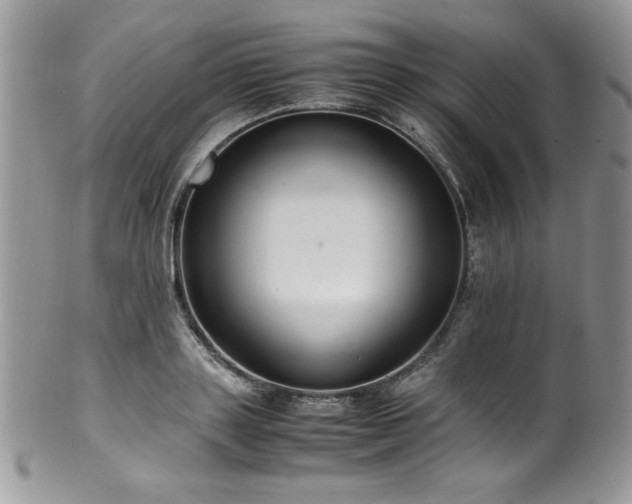 X0000100340843200806051536
