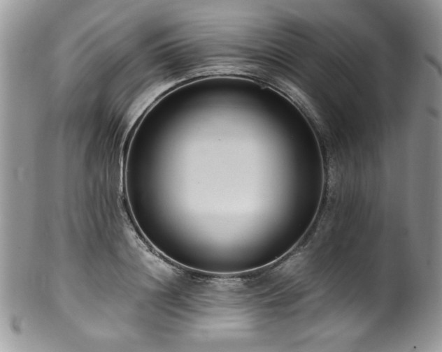 X0000100340844200806051536