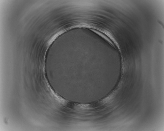X0000100340845200806051536
