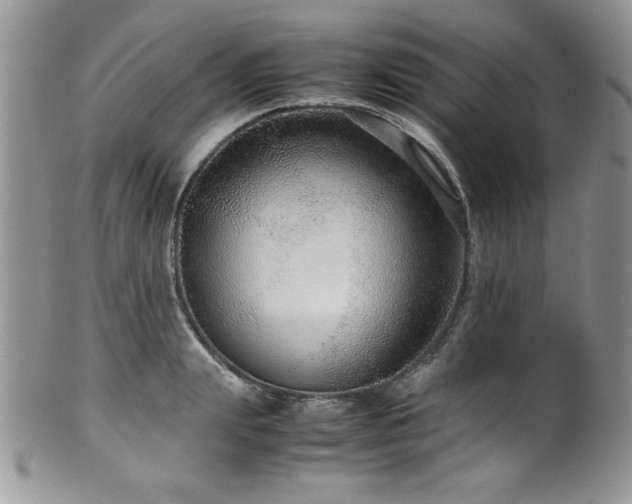 X0000100340847200806051536