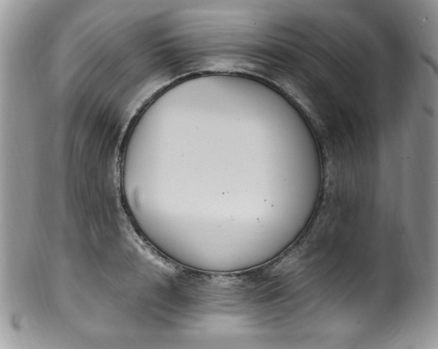 X0000100340848200806051536