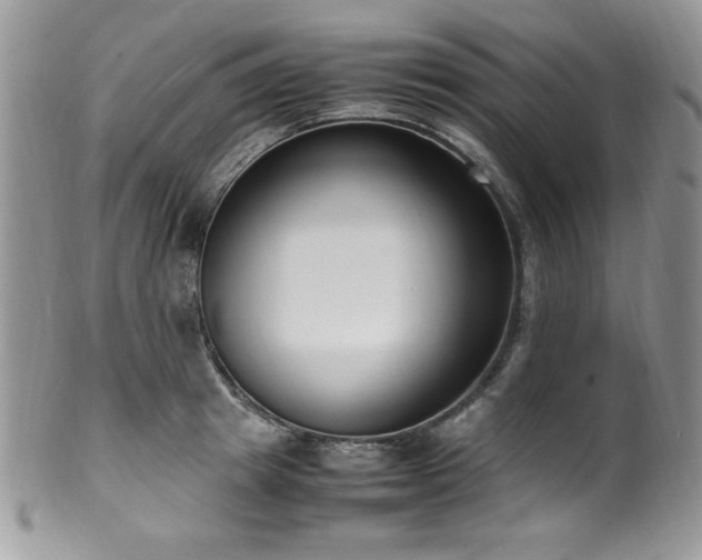 X0000100340849200806051536