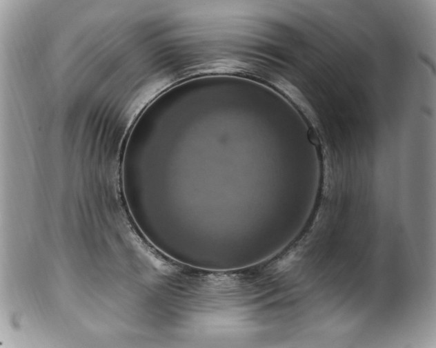X0000100340850200806051536