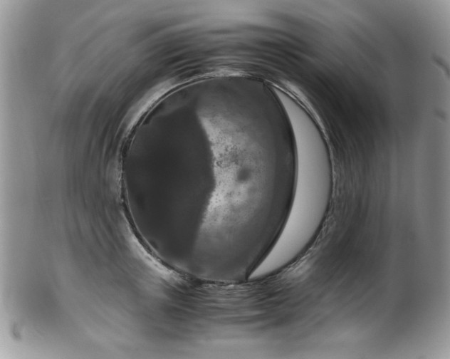 X0000100340851200806051536