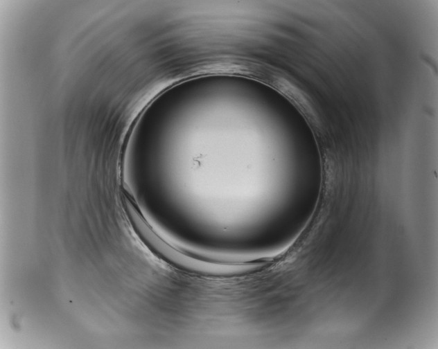 X0000100340852200806051536
