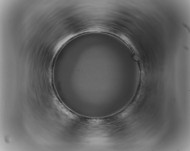 X0000100340854200806051536