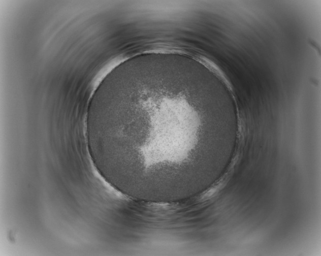 X0000100340855200806051536