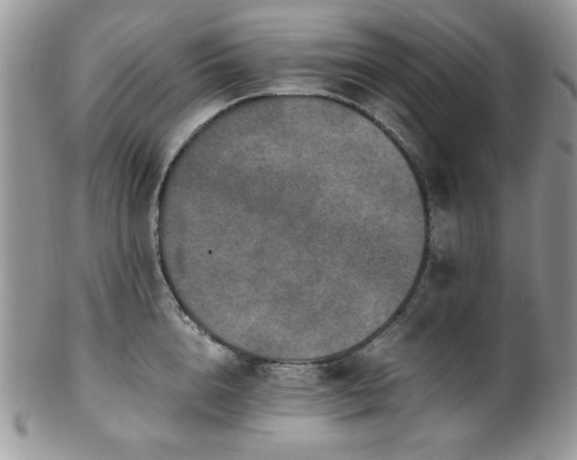 X0000100340856200806051536