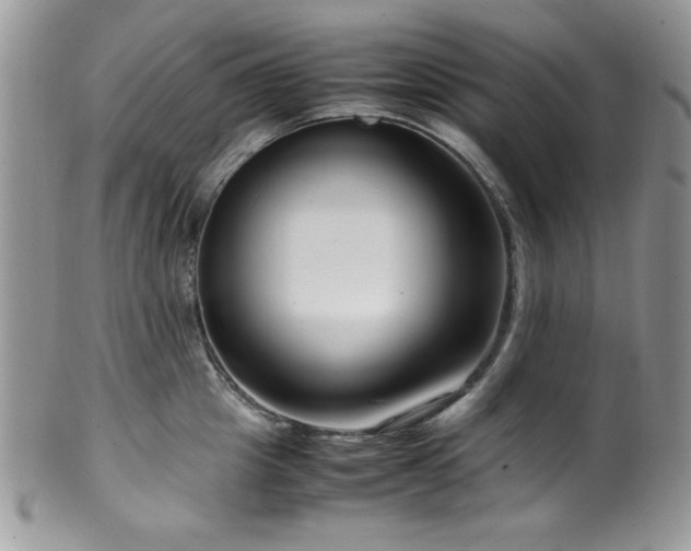 X0000100340857200806051536