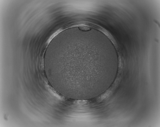 X0000100340858200806051536