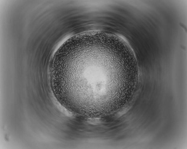X0000100340859200806051536