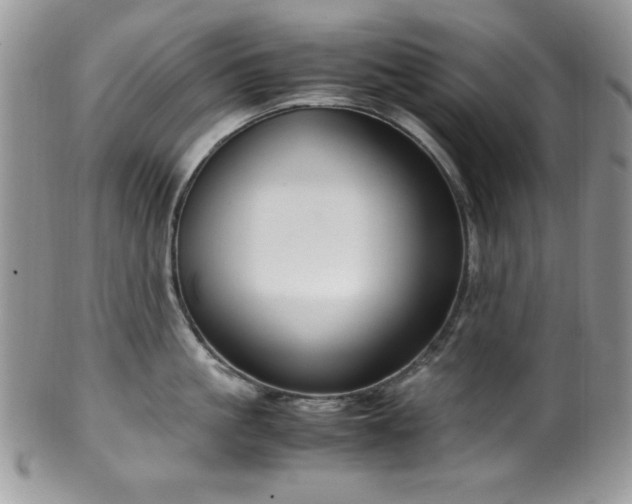 X0000100340861200806051536