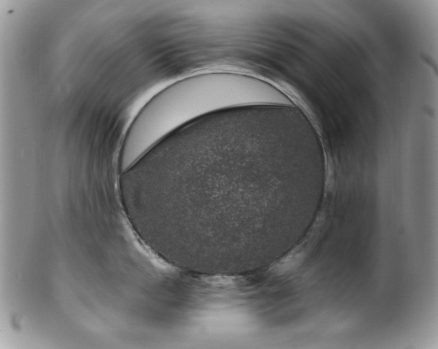 X0000100340862200806051536