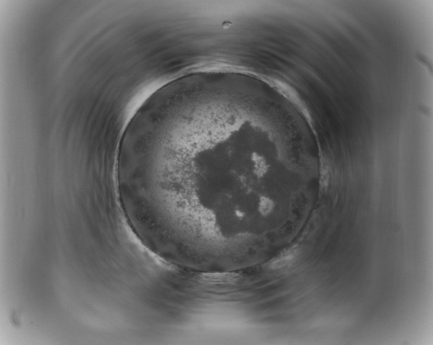 X0000100340863200806051536