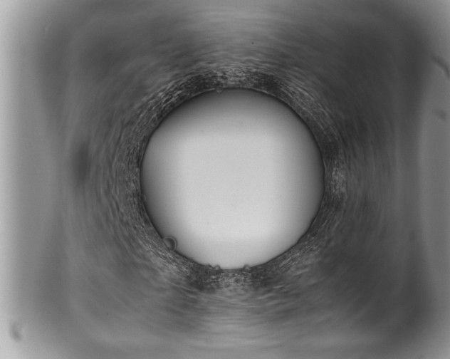 X0000100340865200806051536